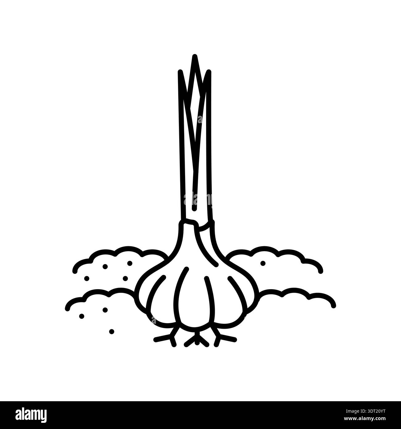 garlic growing black line icon for digital and print projects ...