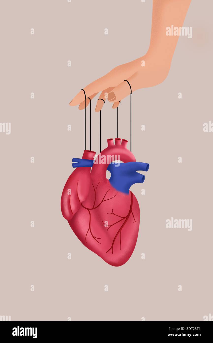 Heart Manipulation Hand veins and arteries hi-res stock photography and images - Alamy