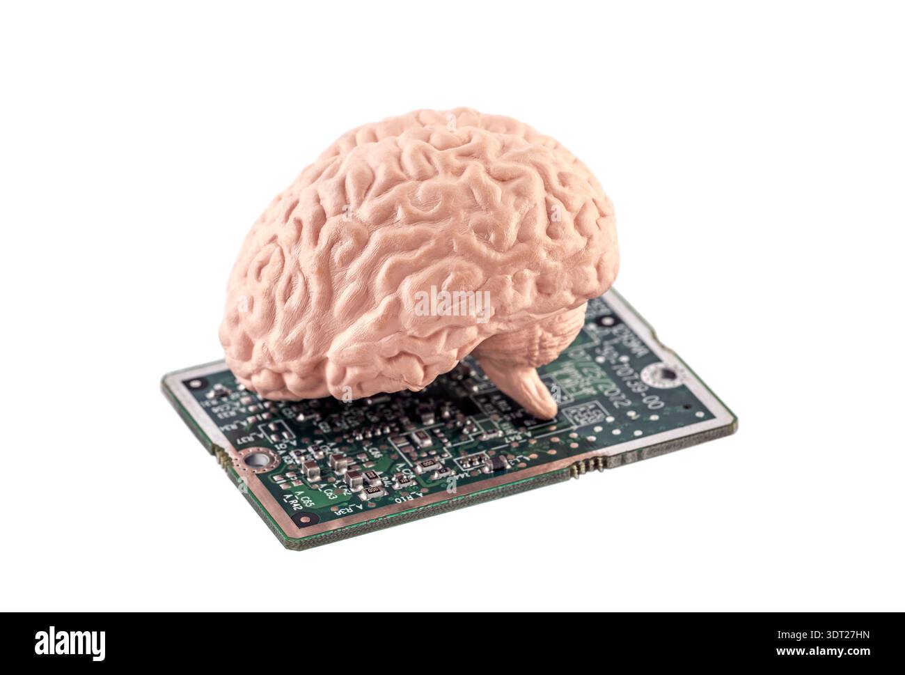 Human brain on small computer circuit board isolated on white background with clipping path Stock Photo