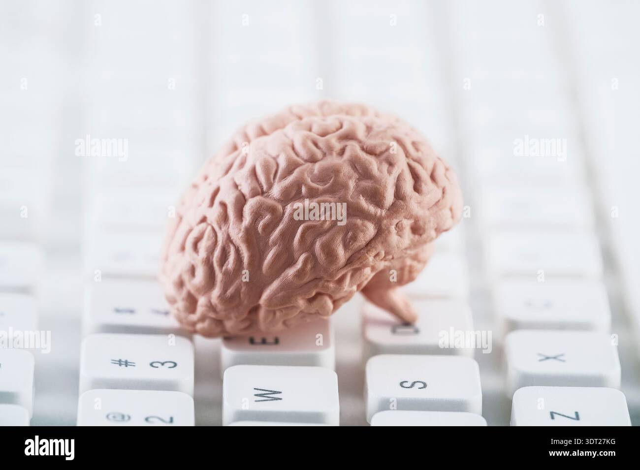 Human brain model on white computer keyboard. Artificial Intelligence, advanced technology or digital thinking concept. Stock Photo