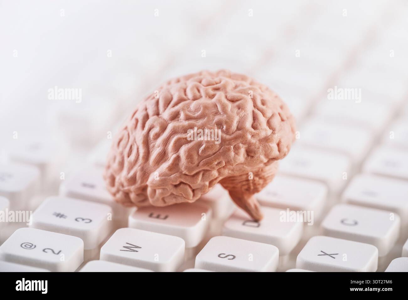 Human brain model on white computer keyboard. Artificial Intelligence, advanced technology or digital thinking concept. Stock Photo