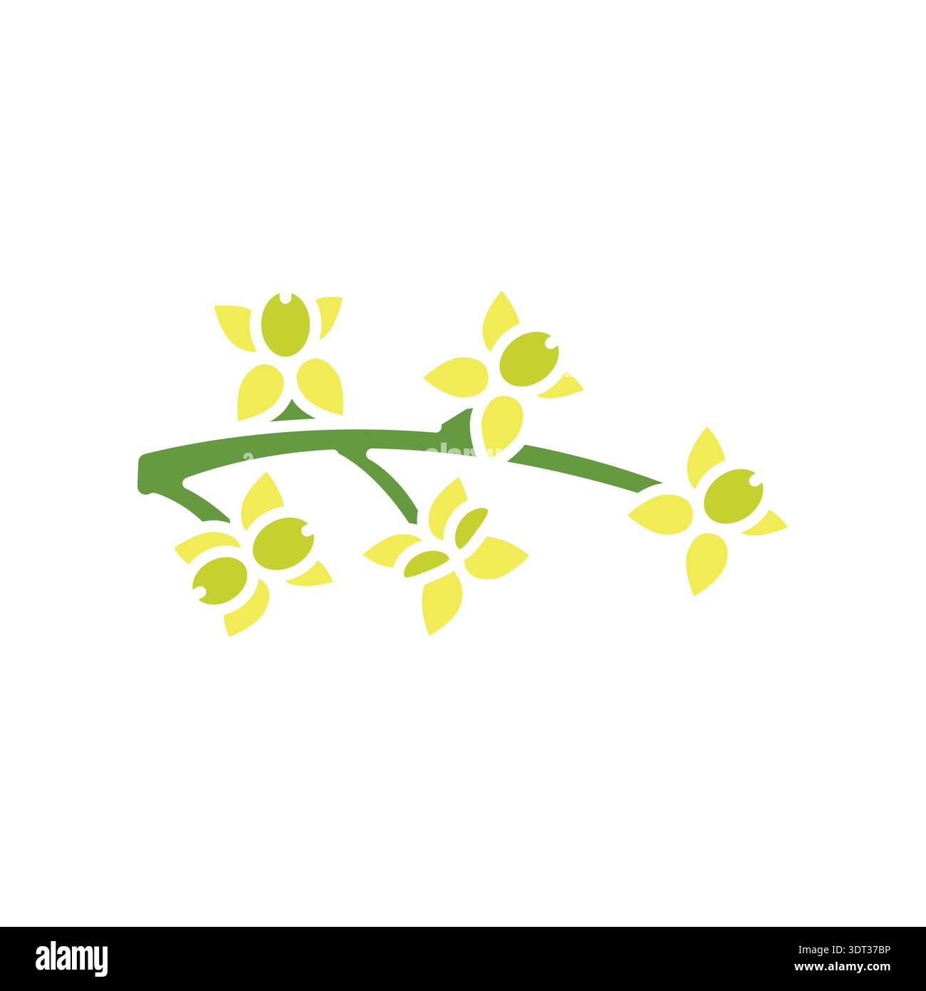 olive inflorescence color flat icon. Vector isolated element. Editable stroke. Stock Vector