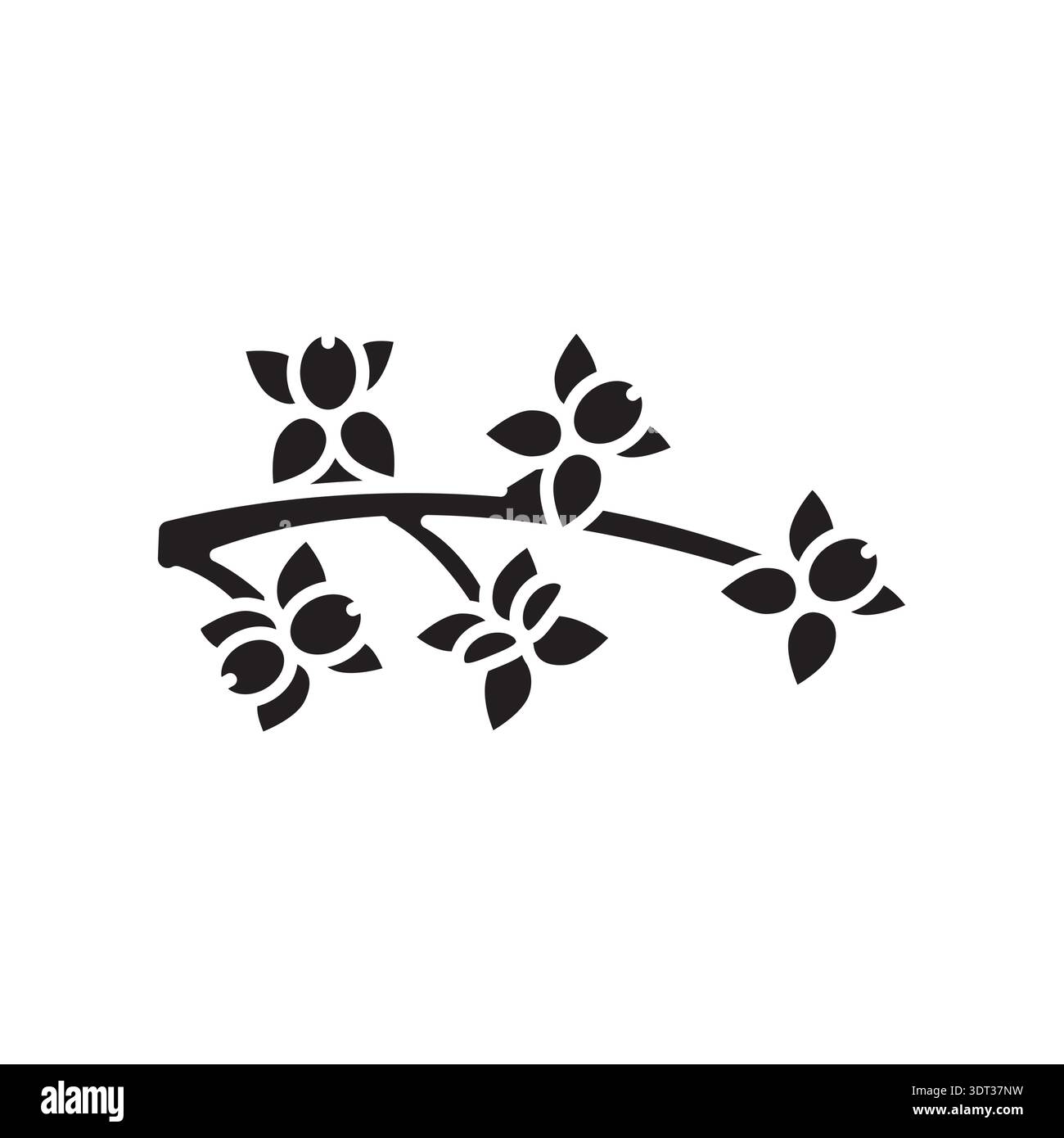 olive inflorescence color flat icon. Vector isolated element. Editable stroke. Stock Vector