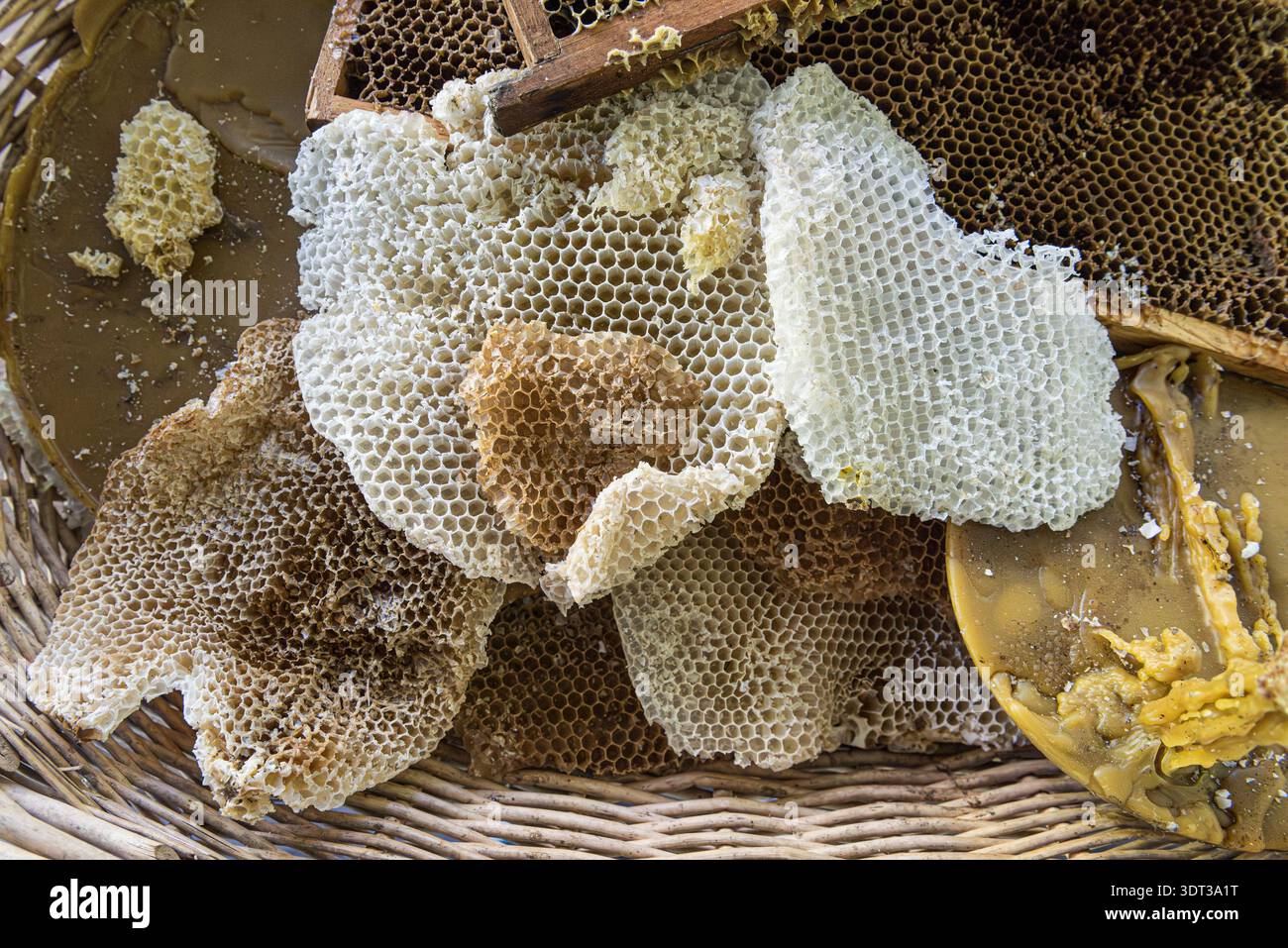 Pieces of honeycomb after the honey has been extracted Stock Photo