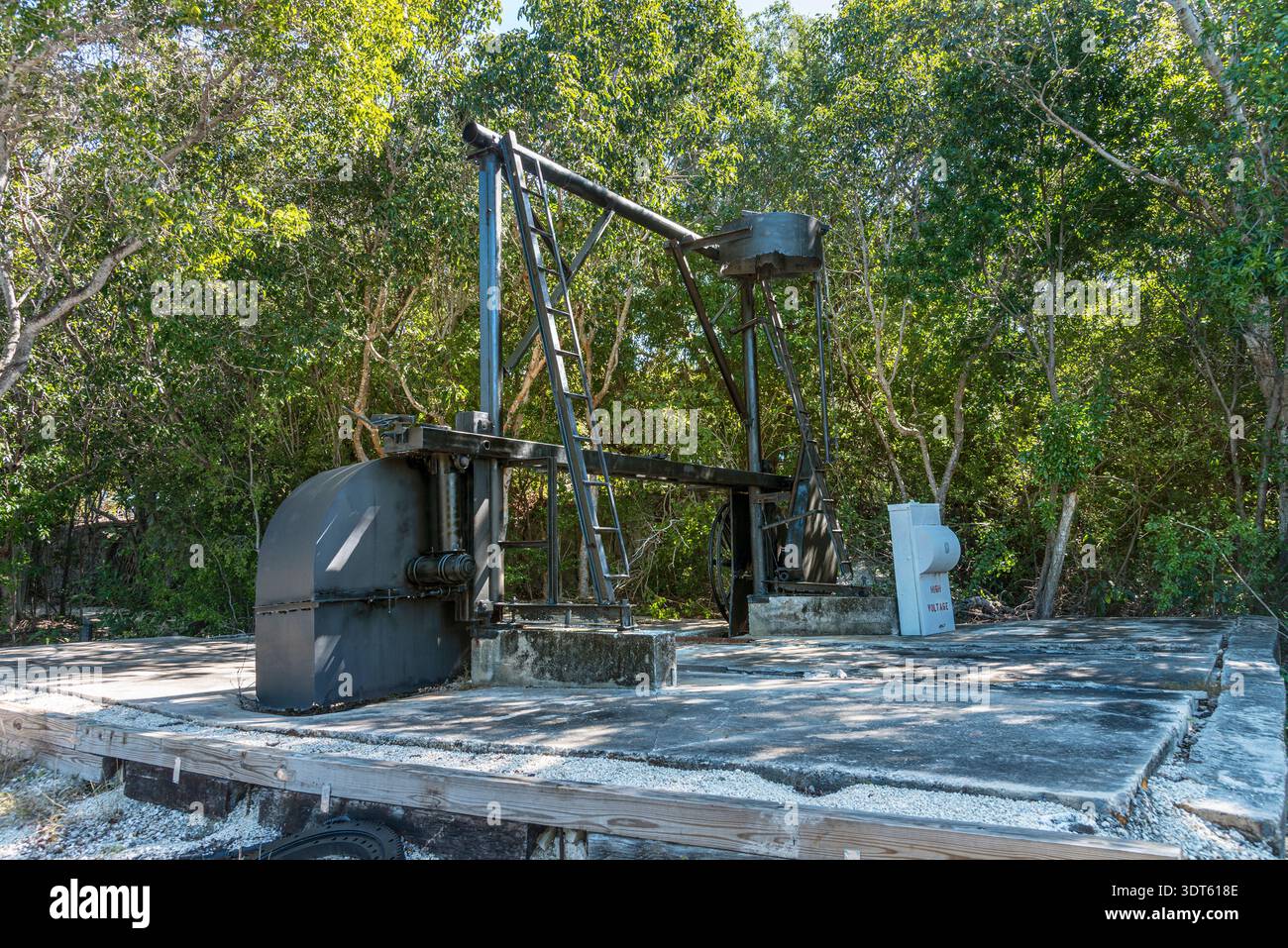 Windley Key Windley Key Fossil Reef Geological State Park, Florida Keys, USA Stock ...