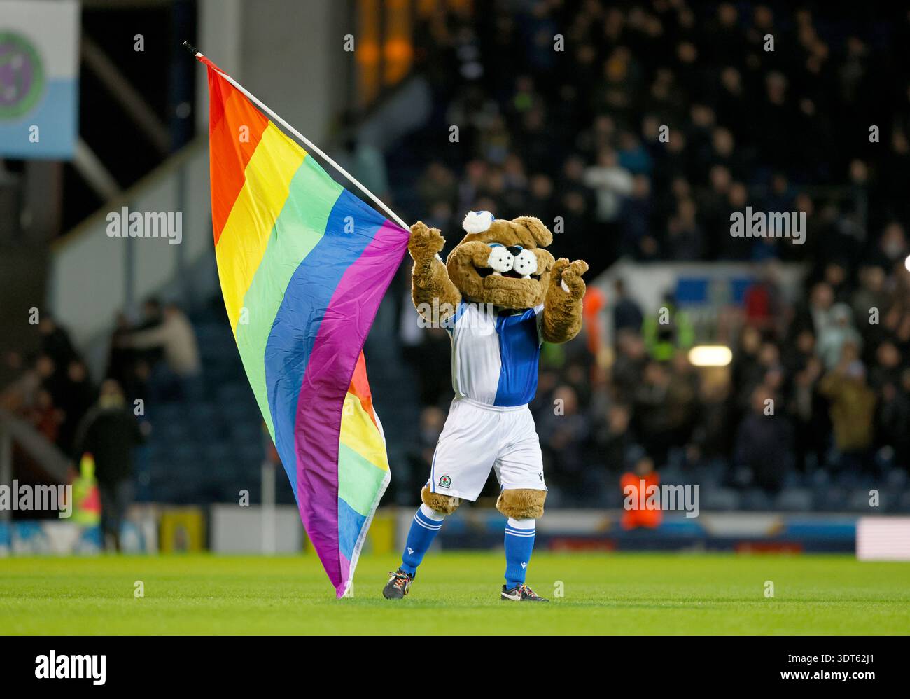 Blackburn Rovers Rover the Dog waves the pride flag before the Sky Bet ...