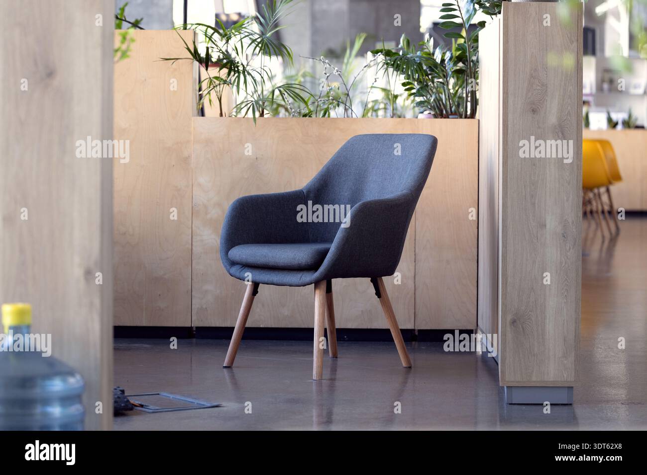 A stylish upholstered chair sits in a bright, modern office environment featuring natural wood accents and lush greenery Stock Photo