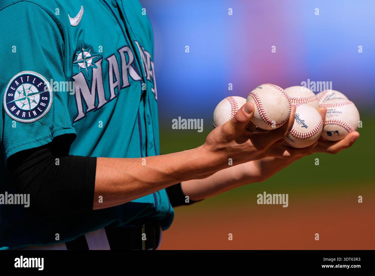 The Seattle Mariners ball boy delivers game balls to home plate umpire ...