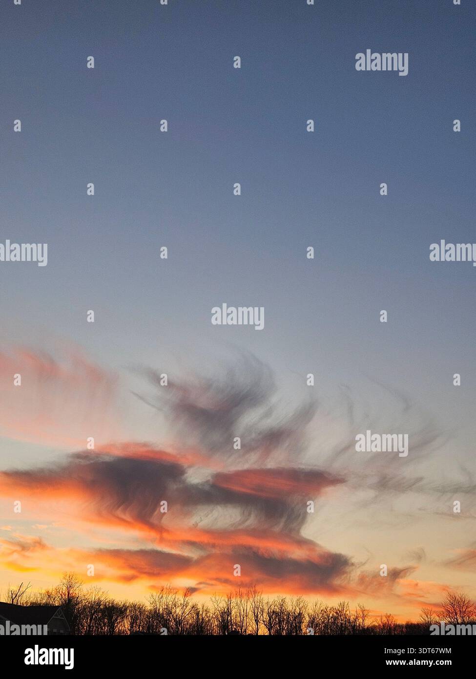 EDITORIAL USE ONLY- Amelia Ohio:   ​A dramatic sunset sky featuring wispy, wind-swept cirrus clouds illuminated in vibrant orange and pink hues. The ethereal cloud formations create a striking contrast against the deepening blue dusk sky above a dark silhouette of a deciduous treeline and suburban rooftops. - Smartphone Captured Stock Image