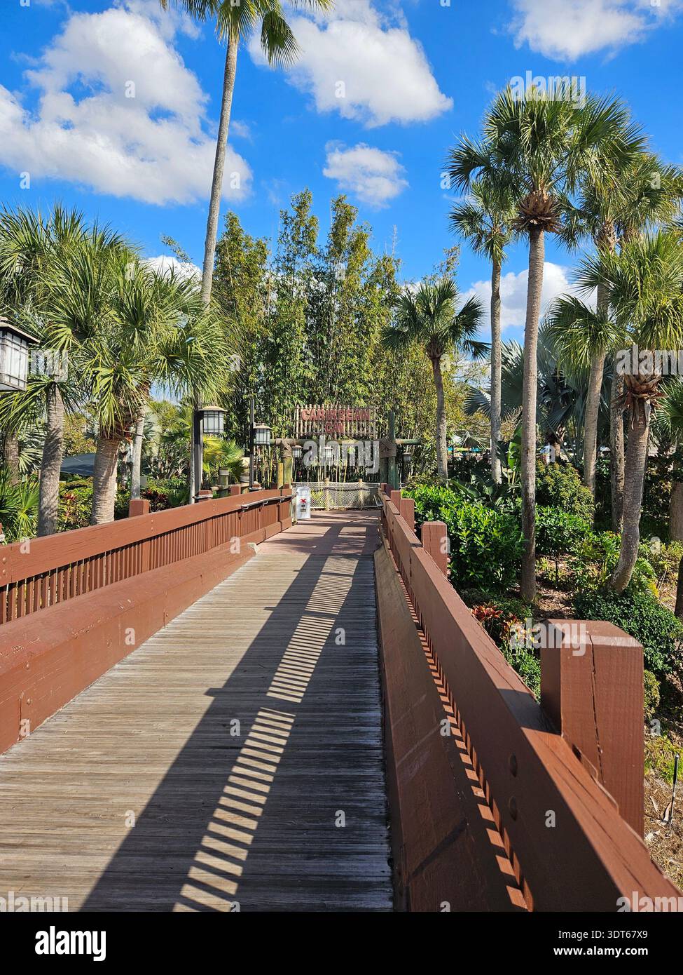 EDITORIAL USE ONLY- ​LAKE BUENA VISTA, FLORIDA - JANUARY 2026: A sun-drenched view of the wooden footbridge leading to Caribbean Cay at Disney's Caribbean Beach Resort. The path is framed by lush tropical palm trees and dense greenery under a bright blue sky with scattered clouds, showcasing the resort's island-themed atmosphere. - Smartphone Captured Stock Image