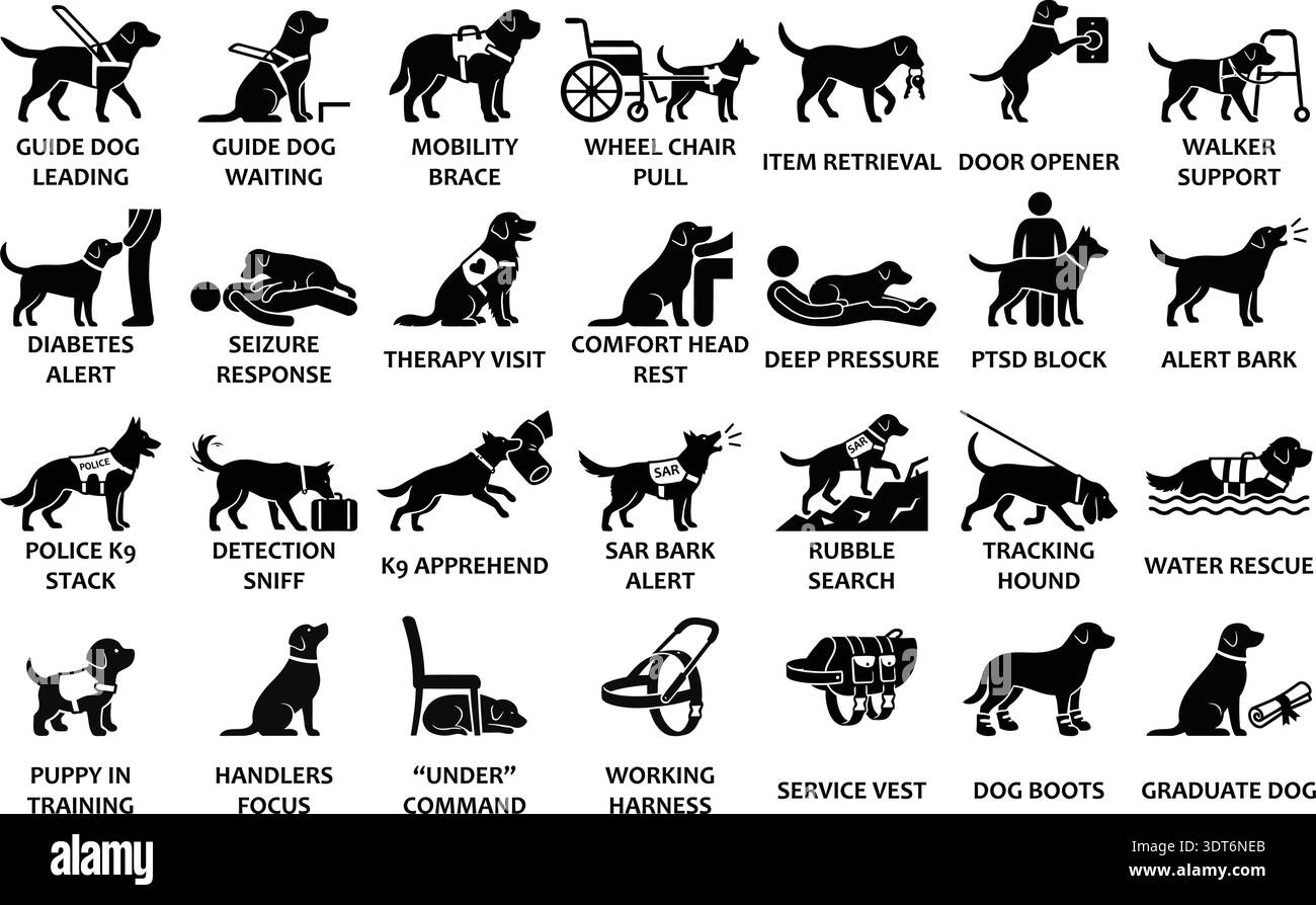 Medical assistance dogs Stock Vector Images - Alamy