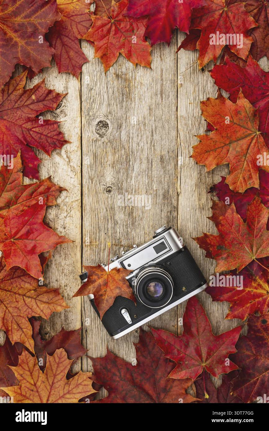 Old camera and red autumn maple leaves, top view Stock Photo