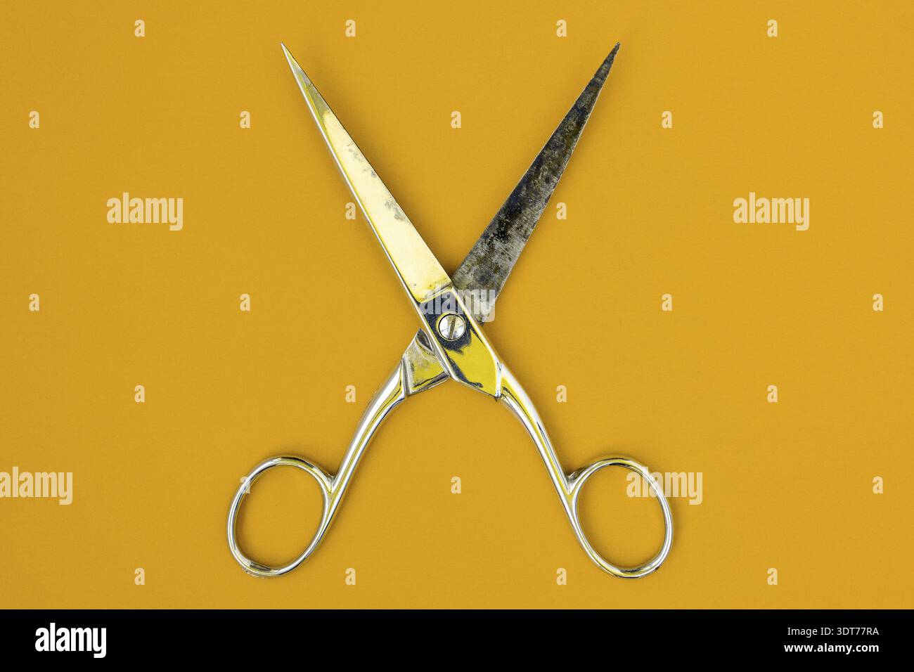 Very sharp retro professional tailor scissors on yellow background Stock Photo