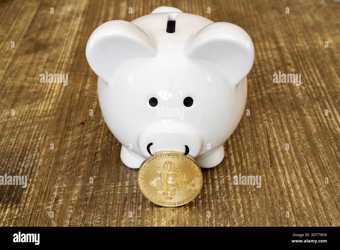 Saving Bitcoins, conceptual image for virtual currency Stock Photo