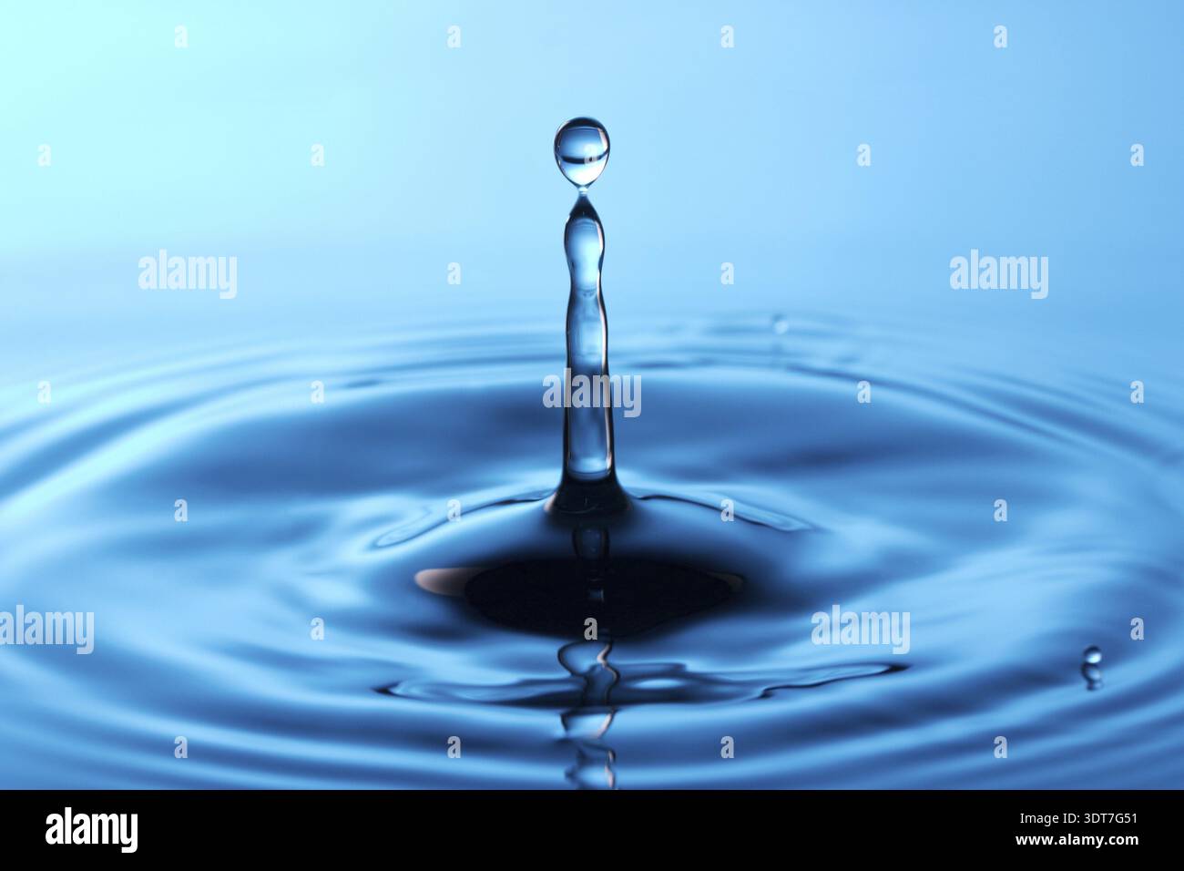 Drop falling into water making a perfect droplet splash Stock Photo