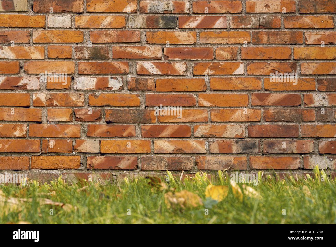 Old red brick wall background with green grass Stock Photo