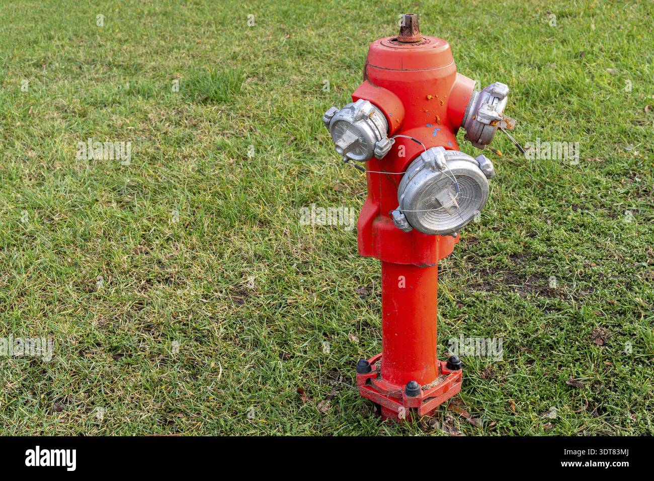 A bright red fire hydrant stands on a green lawn Stock Photo