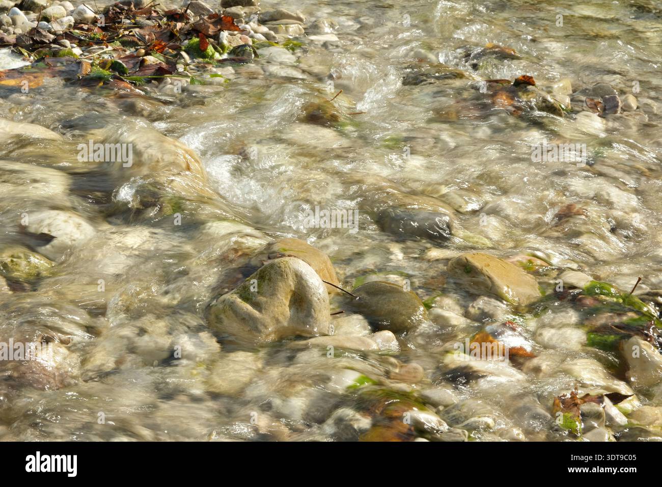 Natural Riverbed Texture with Smooth Pebbles. Stock Photo
