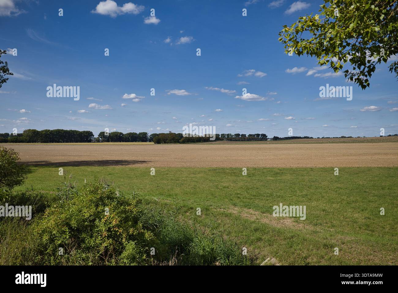 Radweg zwischen Kreypau und Wüsteneutzsch, 06237, Leuna, Saalekreis, Sachsen-Anhalt, Deutschland Stock Photo