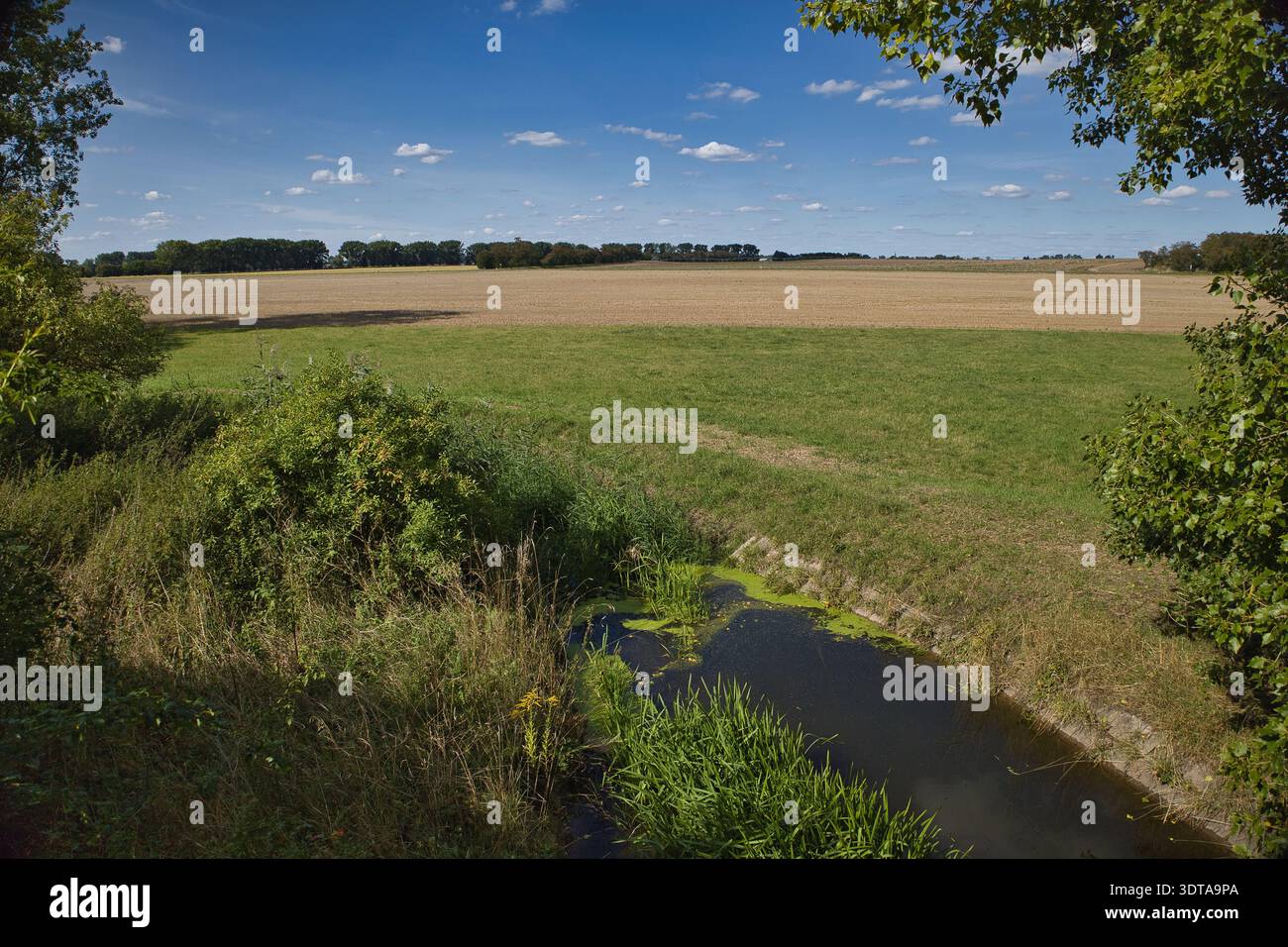 Radweg zwischen Kreypau und Wüsteneutzsch, 06237, Leuna, Saalekreis, Sachsen-Anhalt, Deutschland Stock Photo