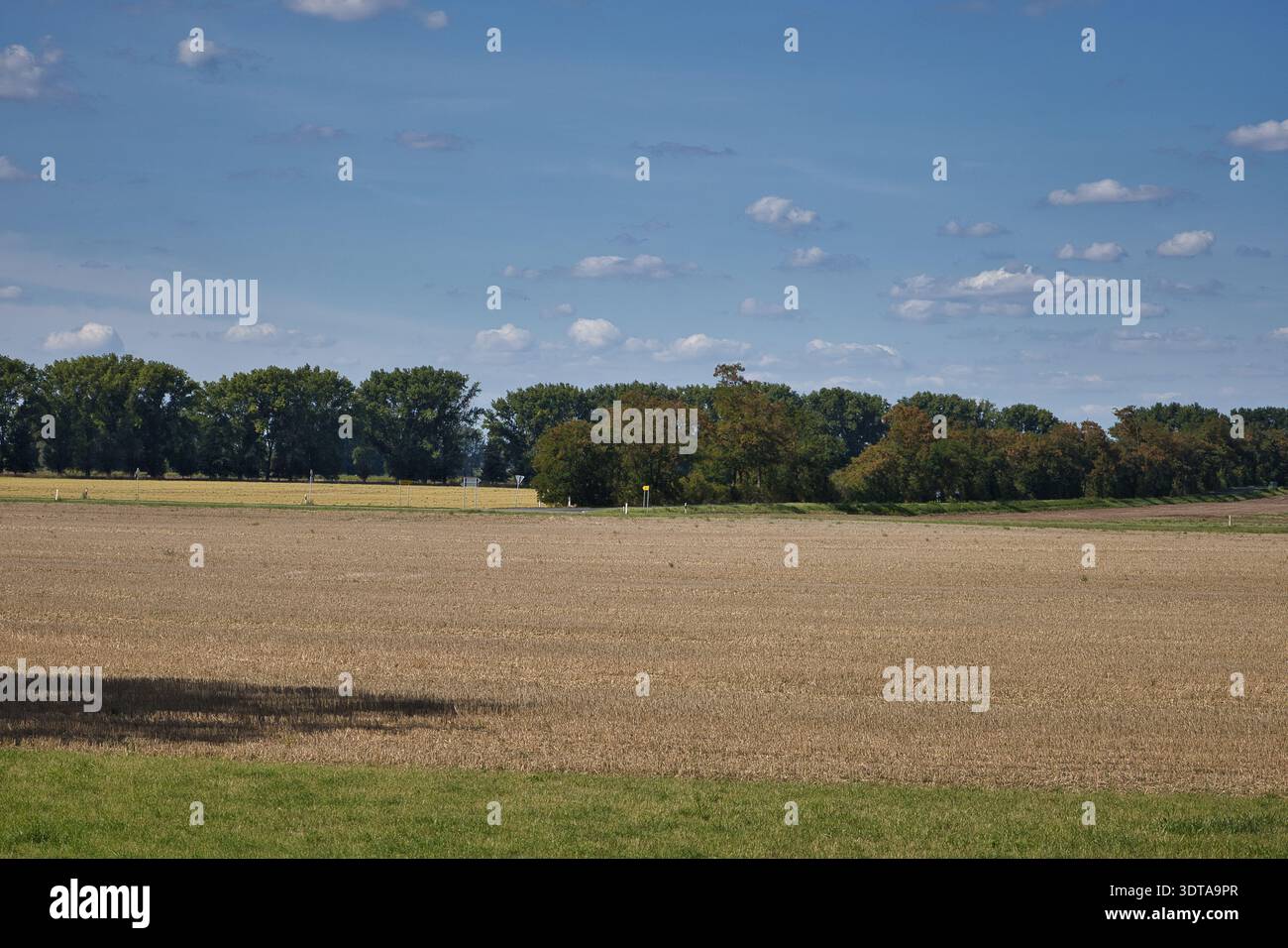 Radweg zwischen Kreypau und Wüsteneutzsch, 06237, Leuna, Saalekreis, Sachsen-Anhalt, Deutschland Stock Photo