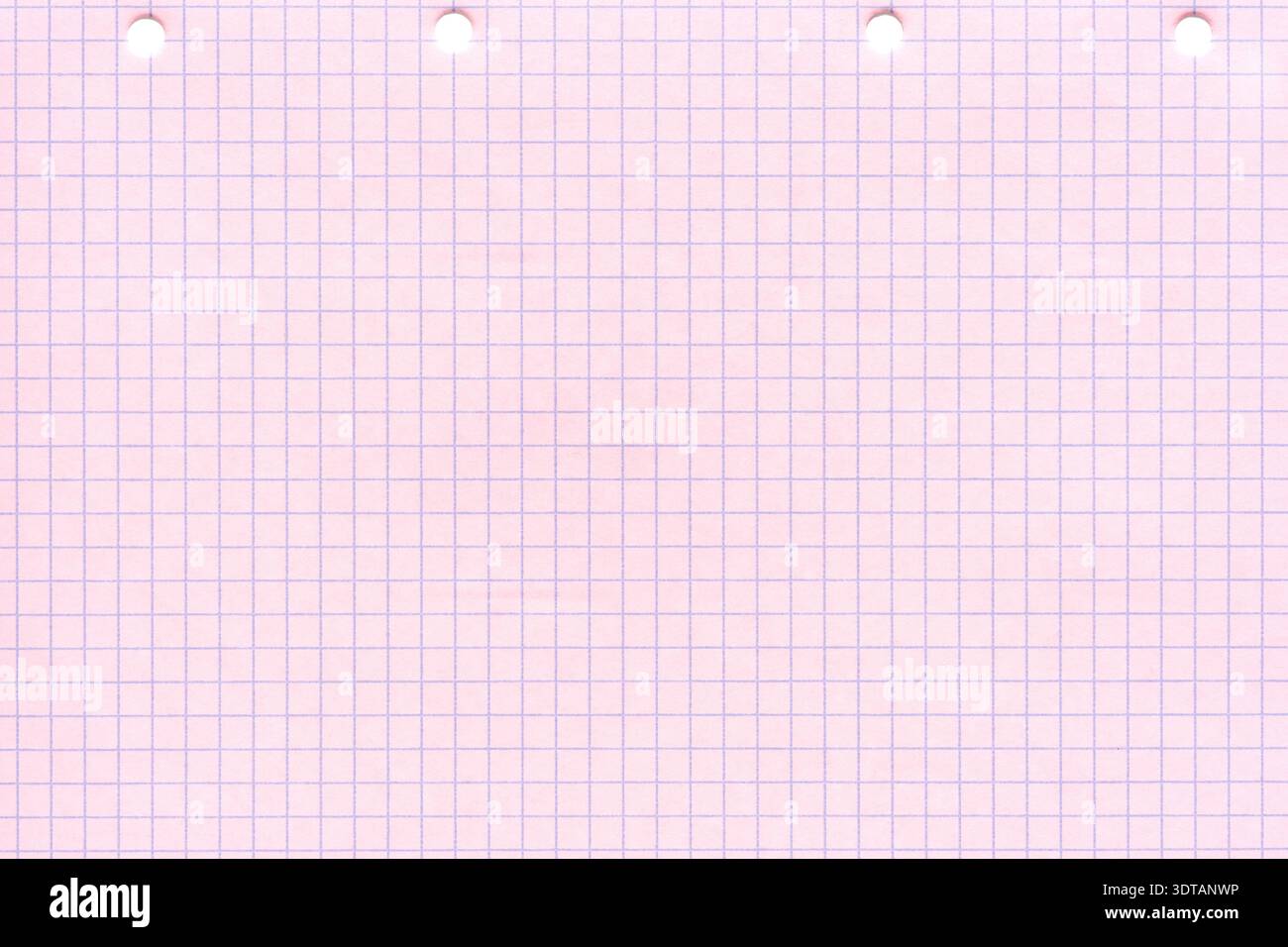 Pink Engineering Paper.pdf Pastel pink graph paper with perforations for school and office use ...