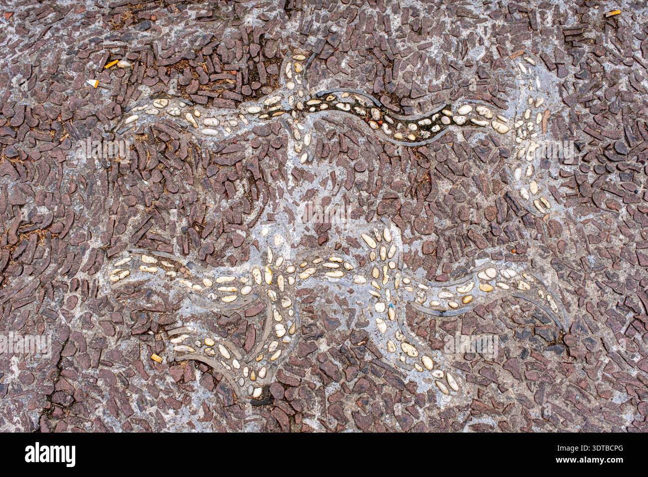 a cobblestone pavement featuring an intricate, symmetrical pattern with alternating dark and light stones forming a geometric design. Stock Photo