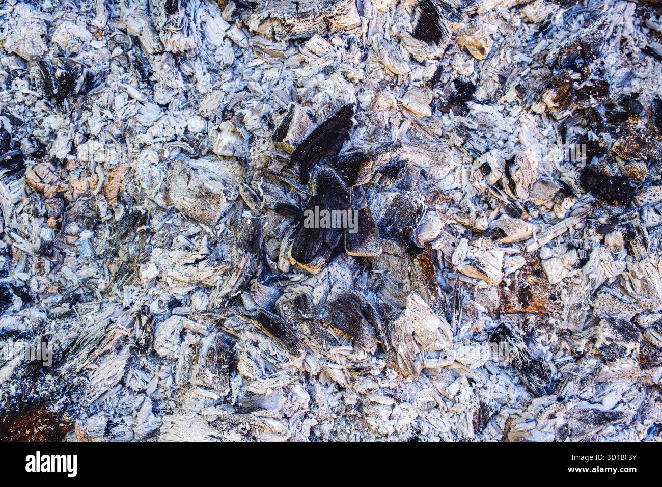 Used charcoal briquettes on barbeque grill Stock Photo