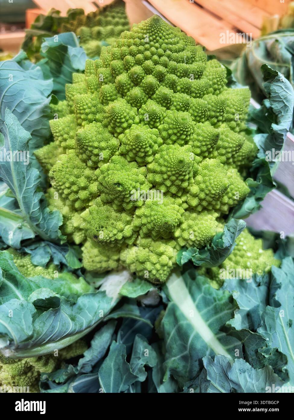 Fresh Romanesco broccoli close up with natural fractal pattern and green leaves. Organic vegetable, healthy food concept. - Smartphone Captured Stock Image