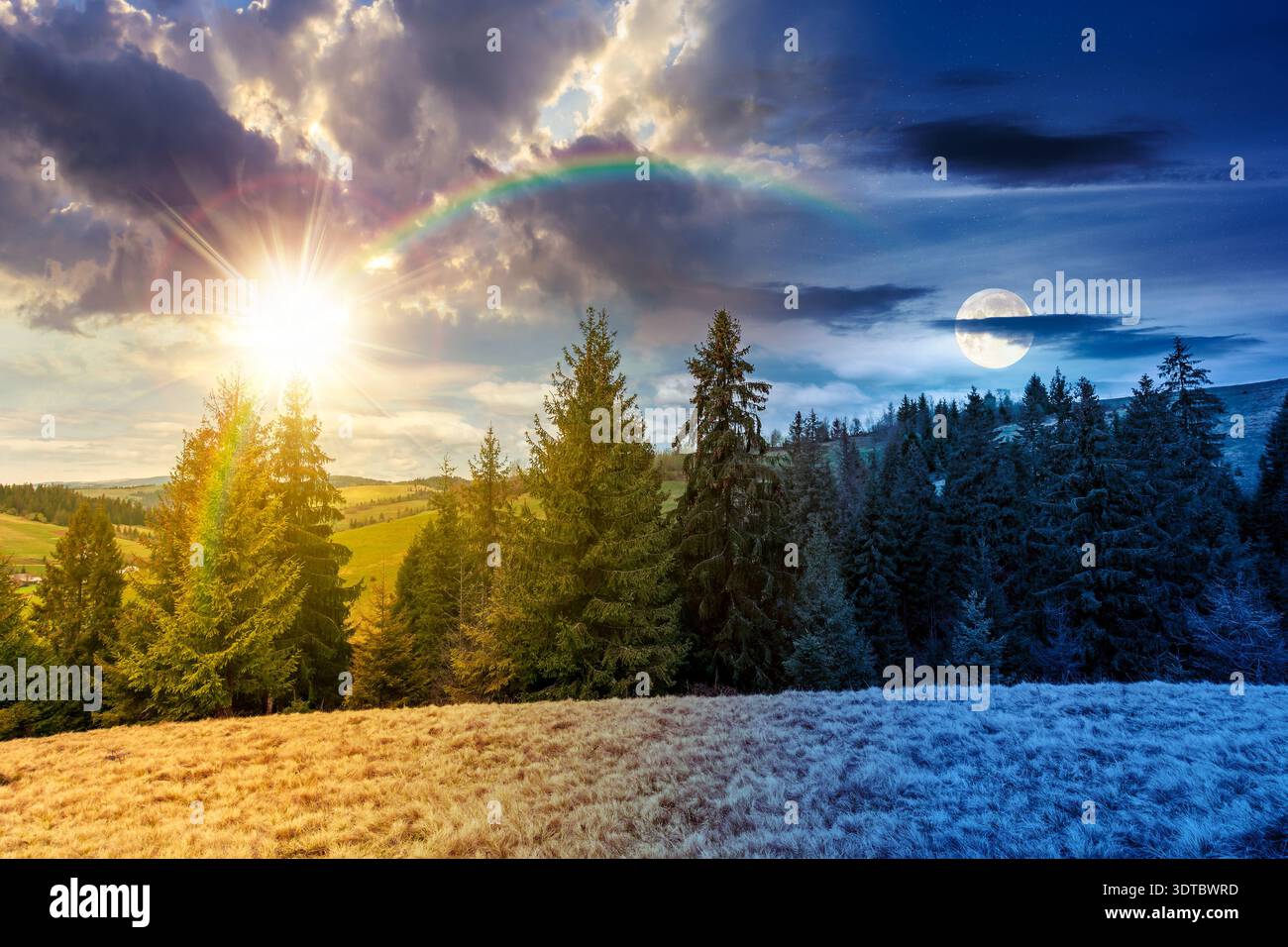 wonderful countryside scenery in springtime. day meet night concept. row of spruce trees on a hill with at twilight. beautiful mountain landscape with Stock Photo