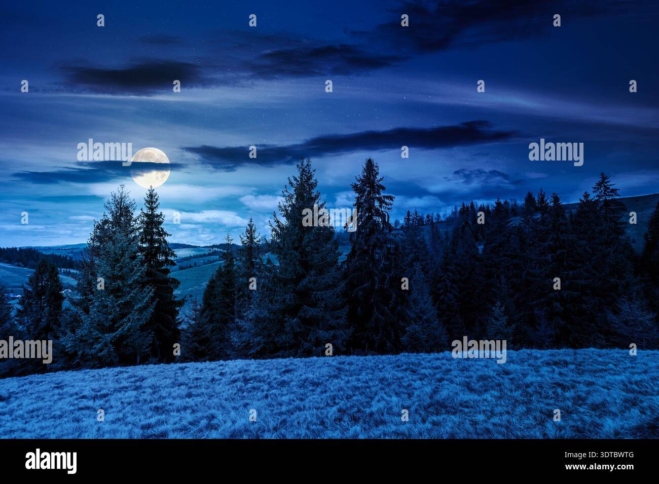 wonderful countryside scenery in springtime at night. full moon over row of spruce trees on a hill. beautiful mountain landscape with meadow and weath Stock Photo