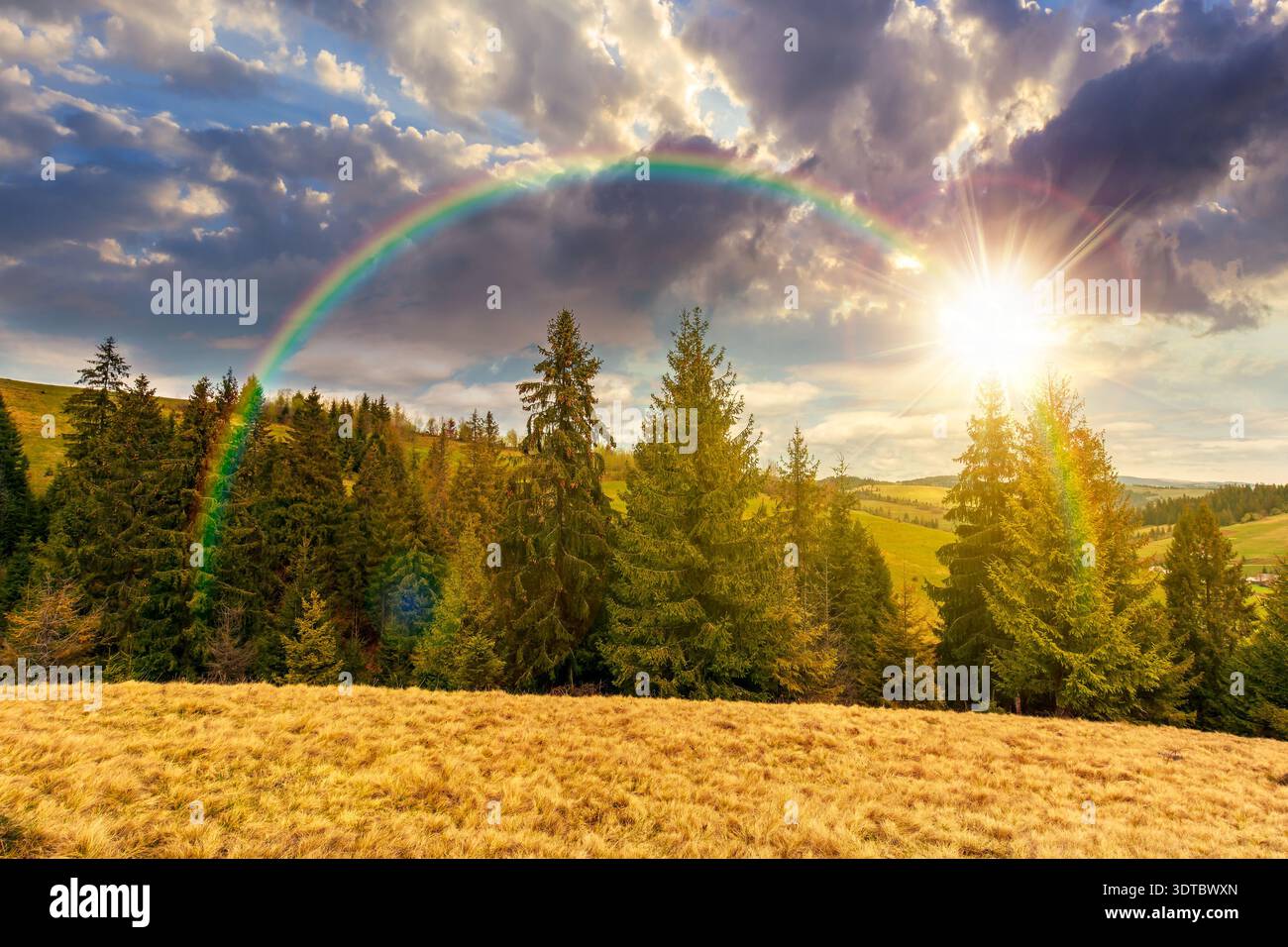 sunset over wonderful countryside scenery in springtime. row of spruce trees on a hill under rainbow. beautiful mountain landscape with meadow and wea Stock Photo