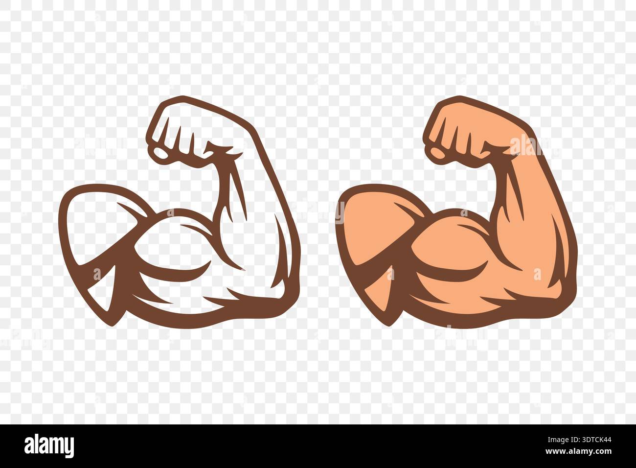 Bodybuilder Muscle Flex Arm Vector Illustration Strong 528x280