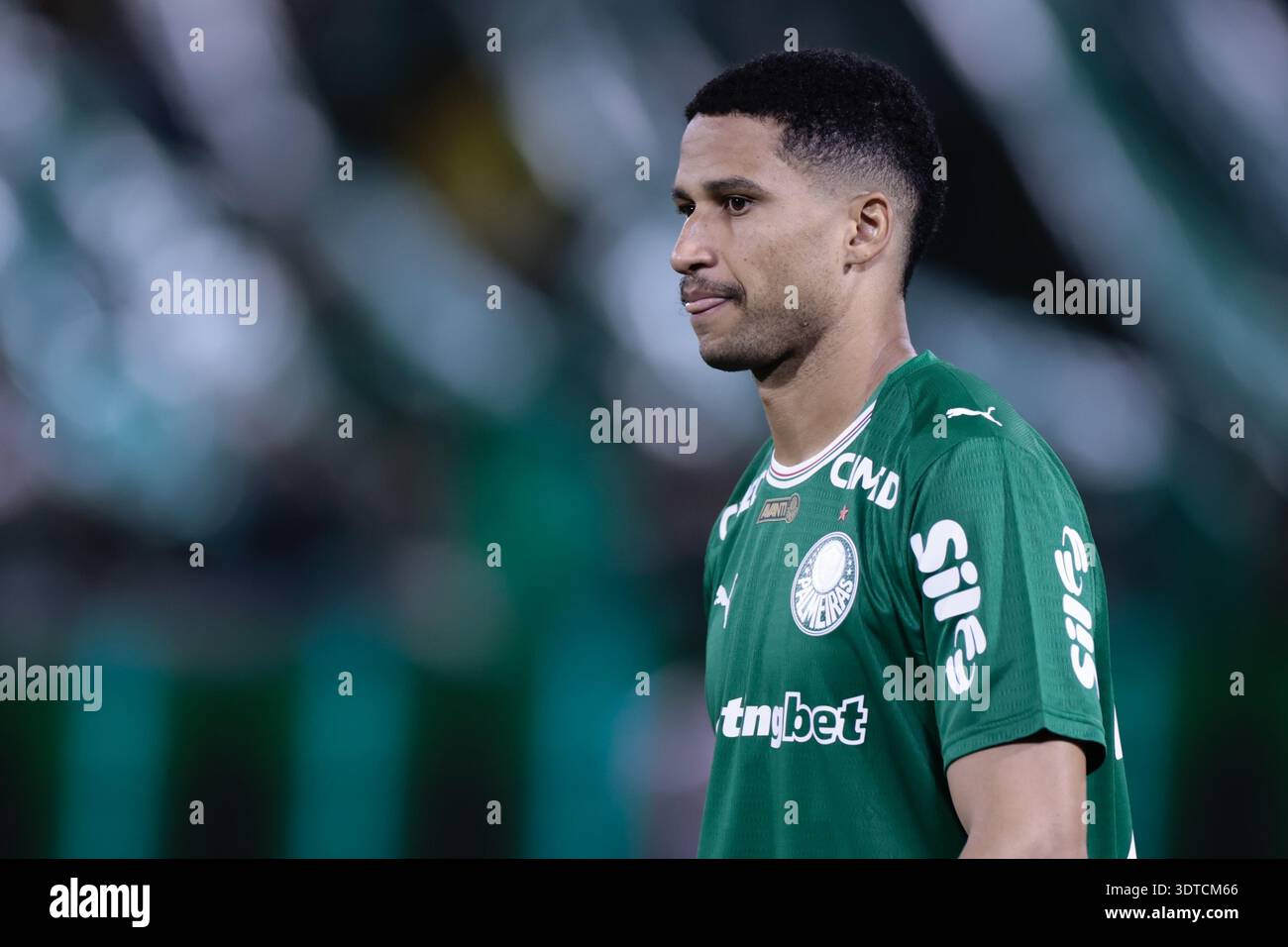 sp-barueri-21-02-2026-paulista-2026-palmeiras-x-capivariano
