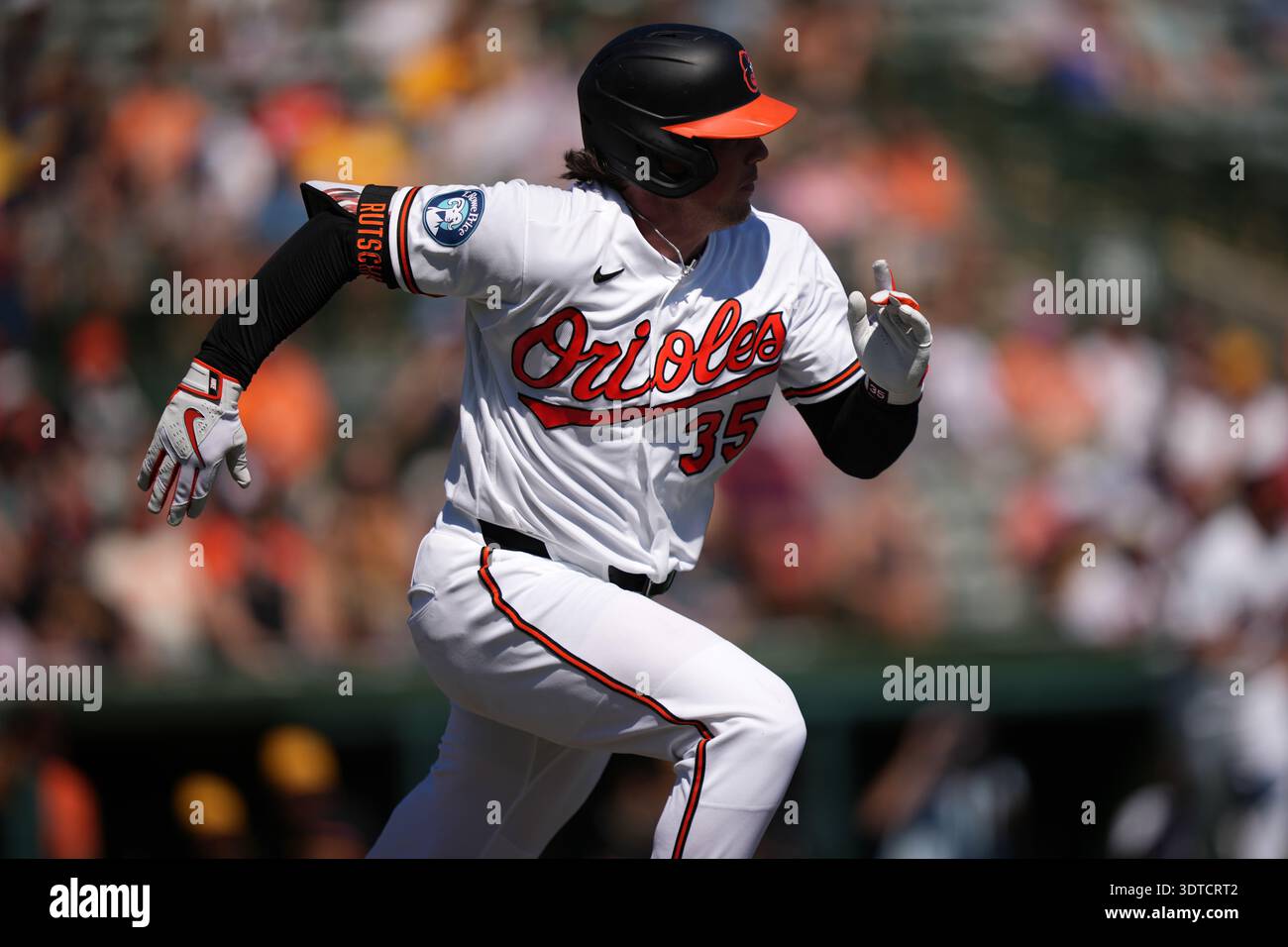 Baltimore Orioles' Adley Rutschman plays during a spring training ...