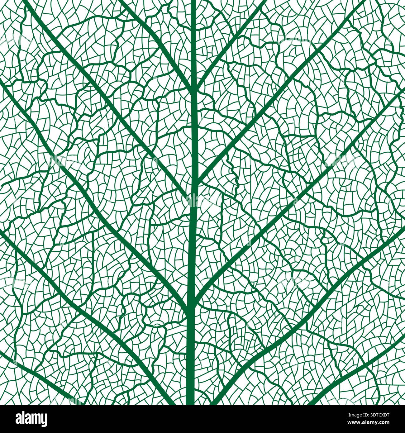 Green tree leaf veins texture pattern with cells Stock Vector