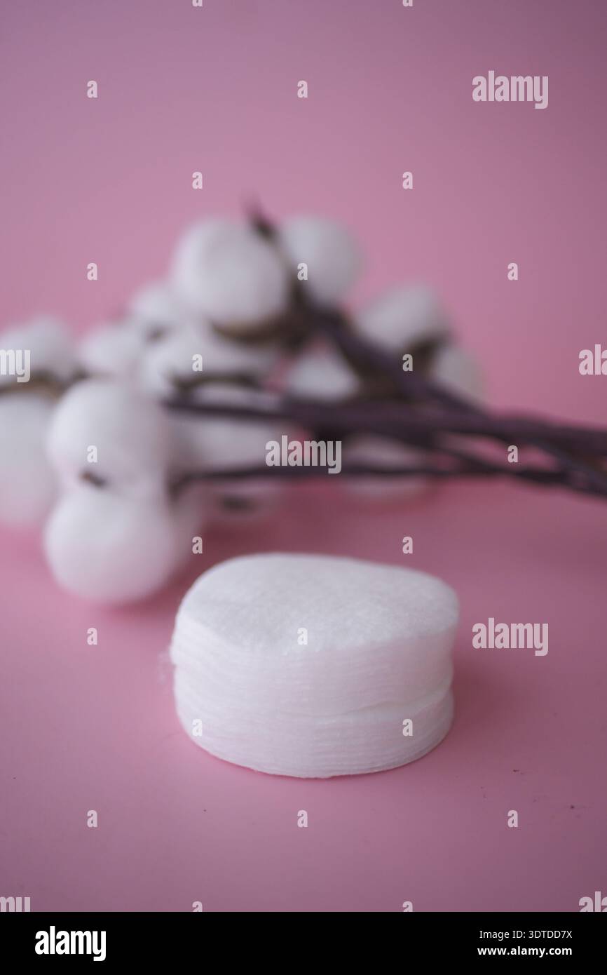 Cotton flowers and a white round object on a pink background Stock Photo