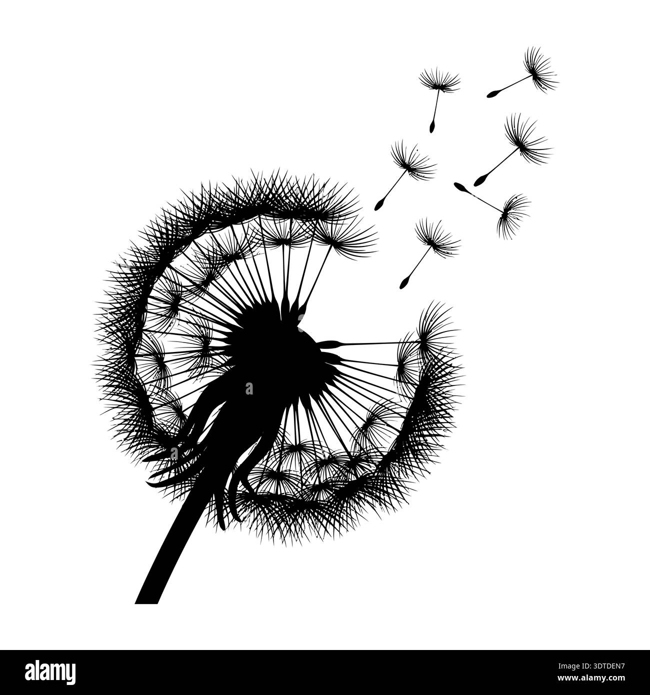 Black and white dandelion silhouette with flying seeds vector ...