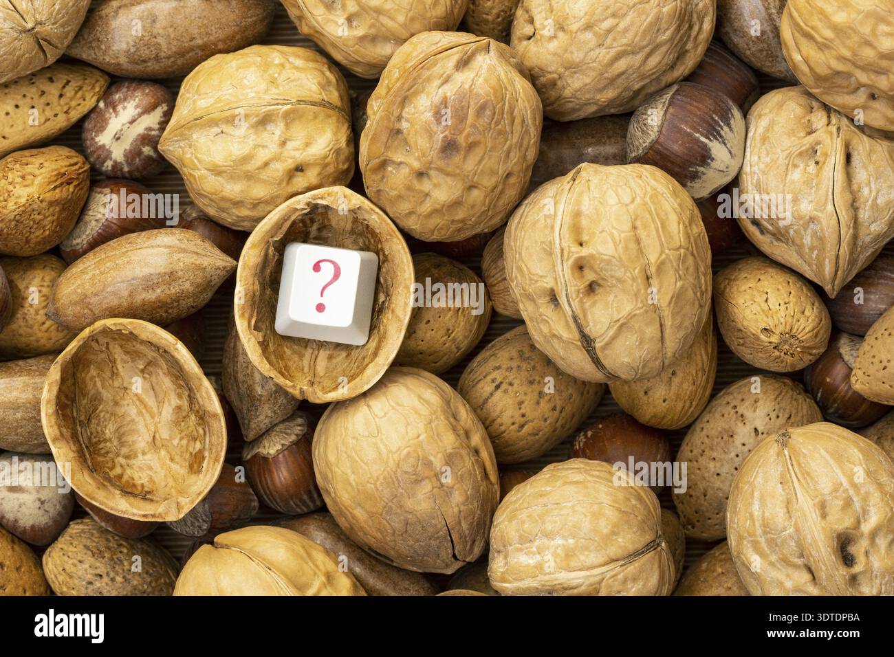 Hard find the answer. The computer keyboard key with a question mark in the shell of a nut Stock Photo