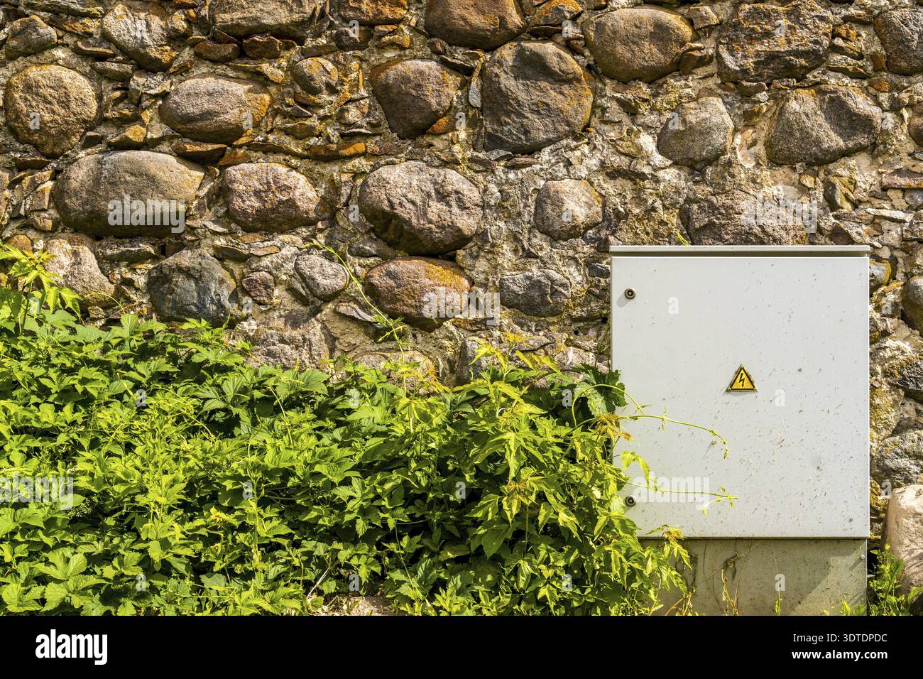 Metal electrical control cabinet against a rough stone wall Stock Photo