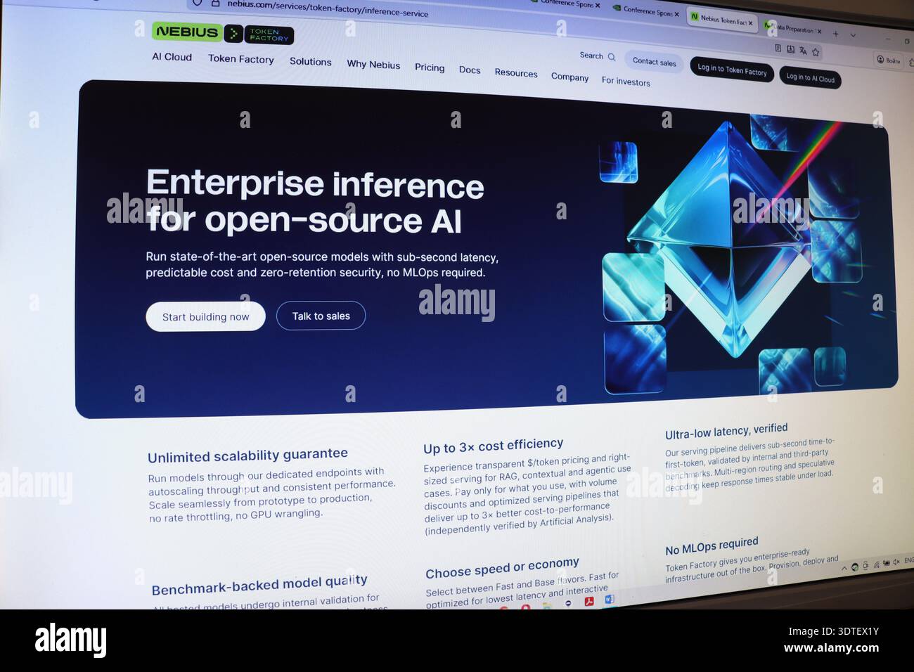 Computer screen displaying enterprise inference for open-source AI platform. Concept of artificial intelligence and machine learning software developm Stock Photo