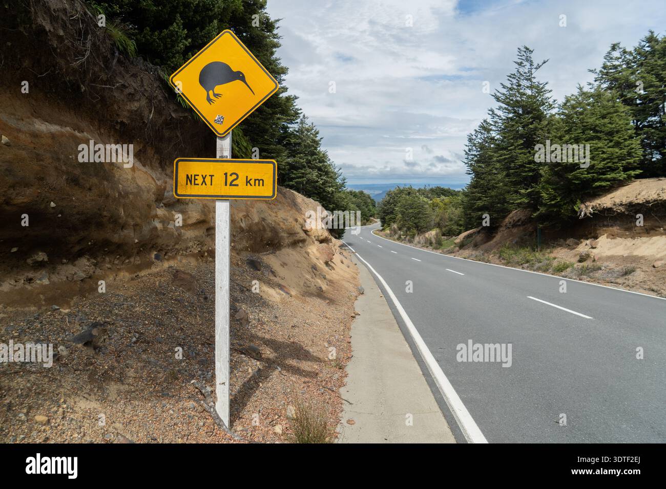 A yellow road sign featuring a kiwi bird graphic and a 