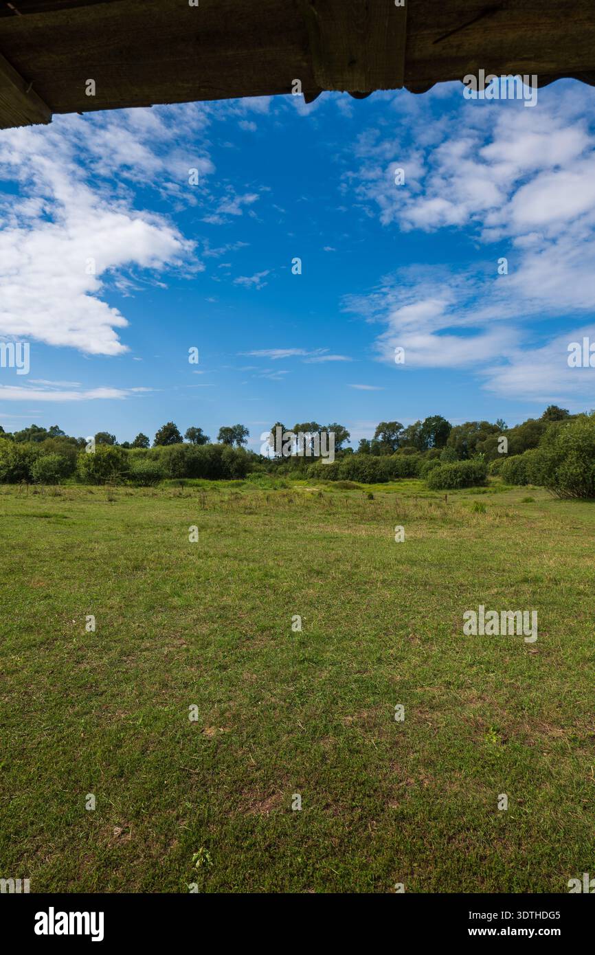 Shrubs extends hi-res stock photography and images - Alamy