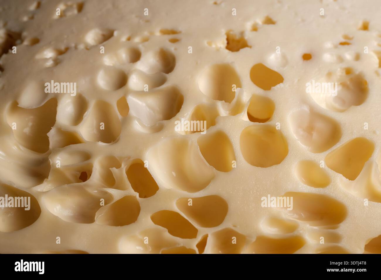Close-up macro of swiss cheese with irregular holes and creamy yellow texture, studio-lit food photography Stock Photo