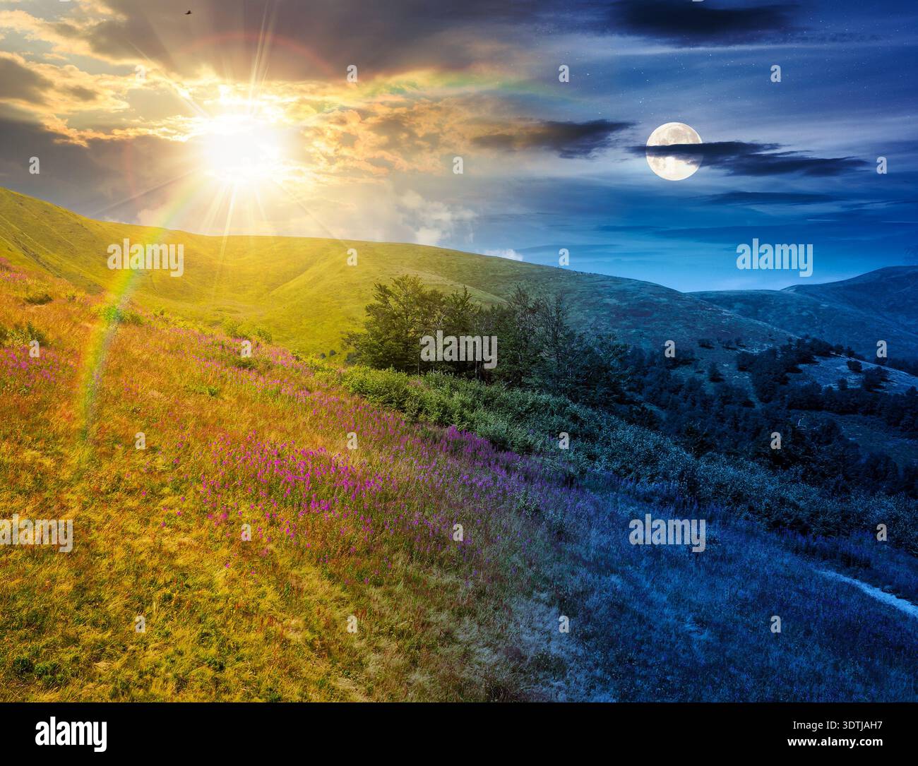 beautiful mountain landscape in summer. day and night time change concept. scenic view of green grassy hills with alpine forest with sun and moon at t Stock Photo