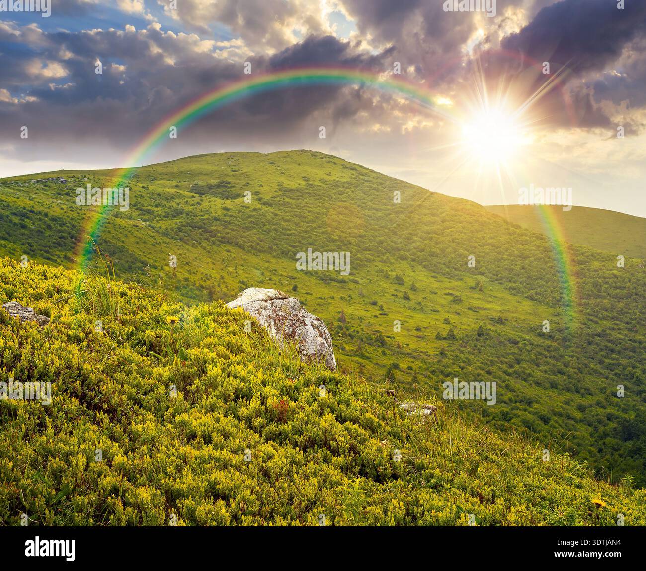 mountain landscape during summer at sunset. alpine meadows on green slopes and hills in evening light. amazing adventure scenery under rainbow. explor Stock Photo