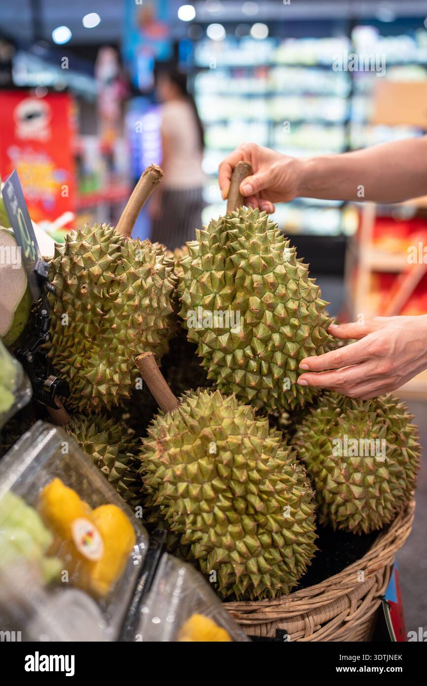 Choosing durian fruit. Shopper picks durian at outdoor Asian market examining texture and ripeness Stock Photo