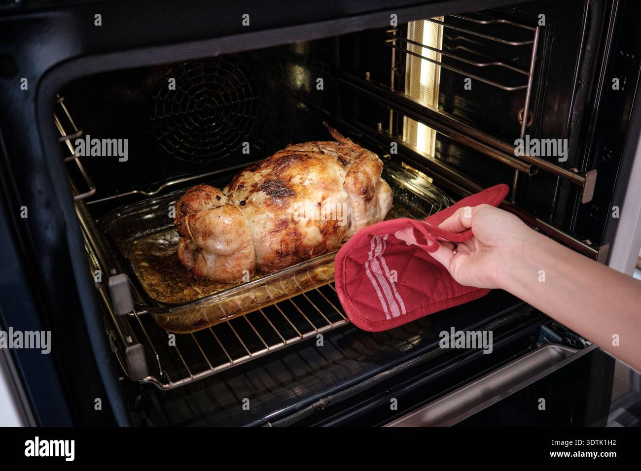 A succulent stuffed chicken roasts to perfection in an oven. A hand with a red oven mitt carefully checks the progress, capturing the essence of home- Stock Photo