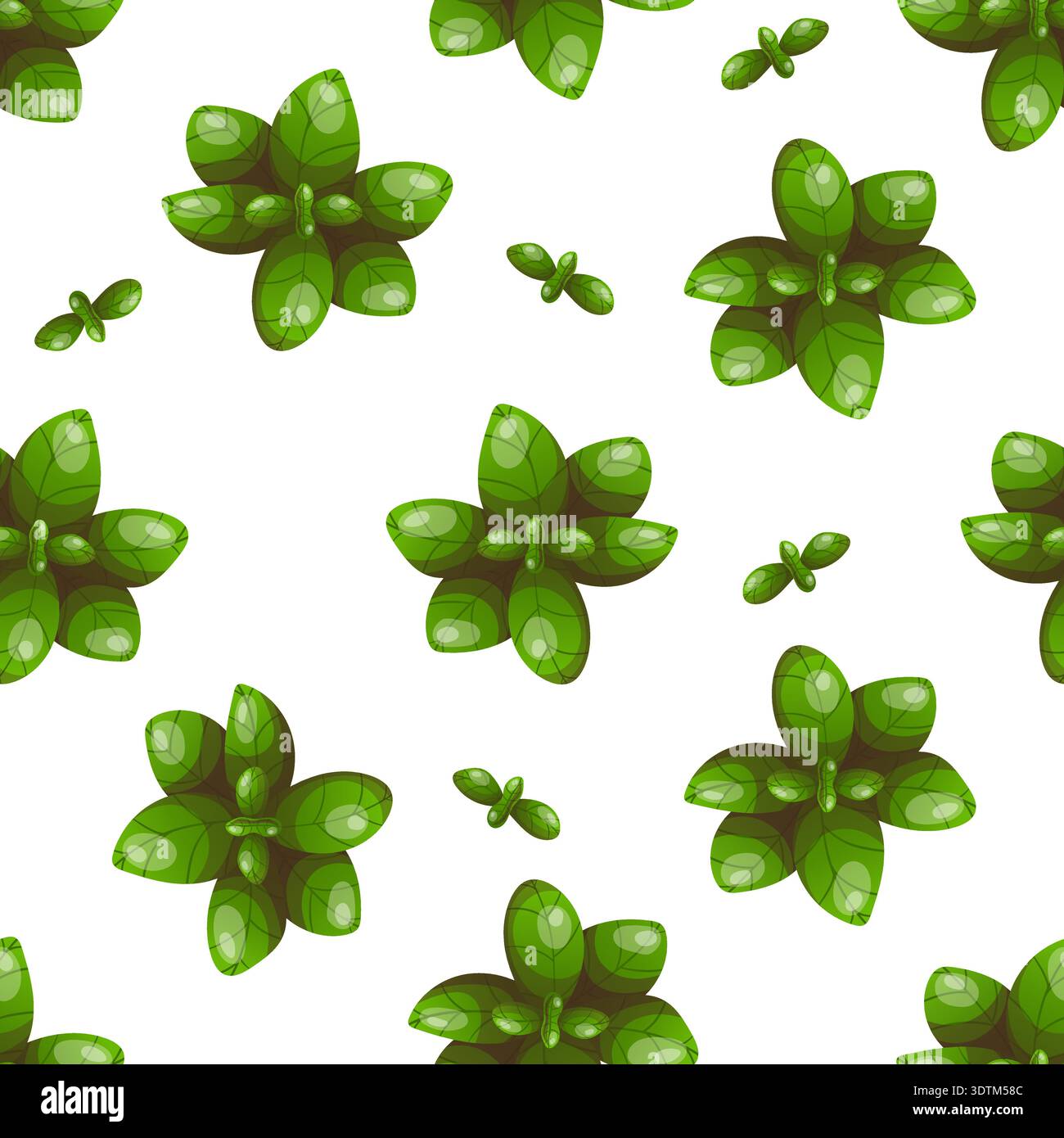 Seamless pattern of green basil sprigs Stock Vector