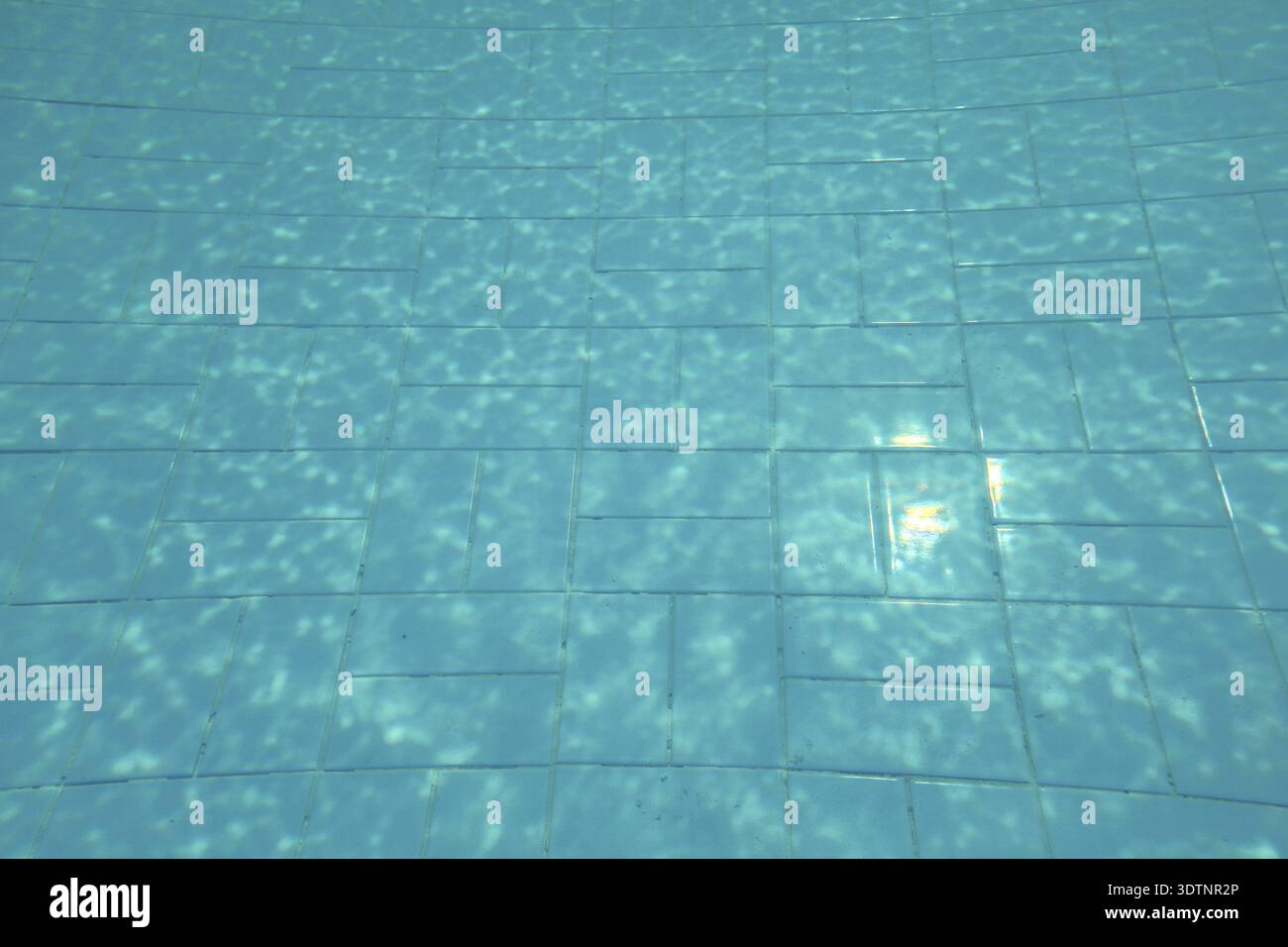 Swimming pool bottom, sun shining on blue tiles, lines distorted by ...